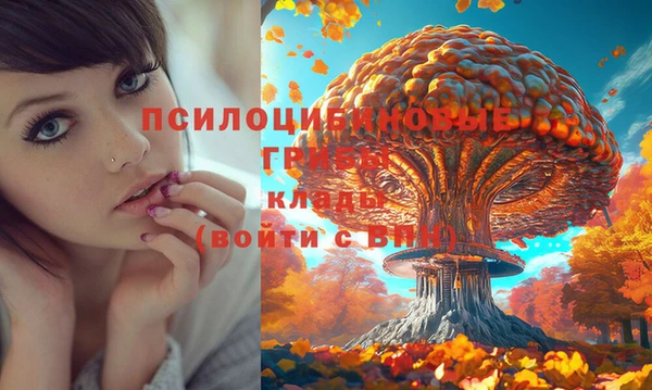 MDMA Вязьма