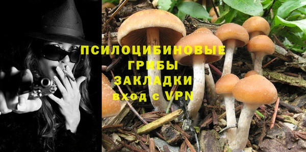 кокаин премиум Алексин