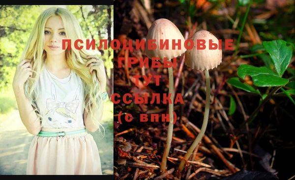гашиш Алексеевка