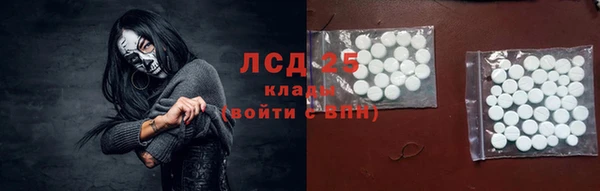 хмурый Алзамай