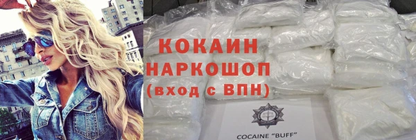 тгк Ельня